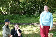 HvNH 2010