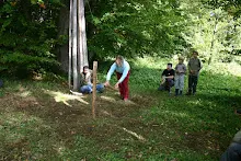 HvNH 2010