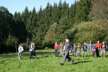 HvNH 2010