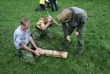 HvNH 2010