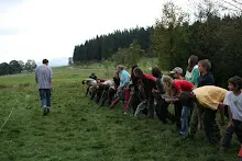 HvNH 2010