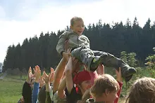 HvNH 2010