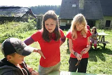 HvNH 2010