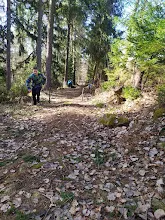 Únorová výprava Pořešín