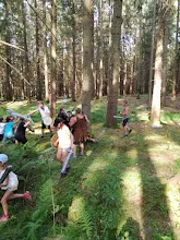 Letní tábor 2020 - Orionův pás
