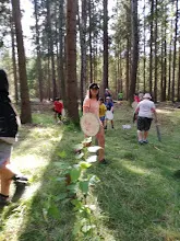Letní tábor 2020 - Orionův pás
