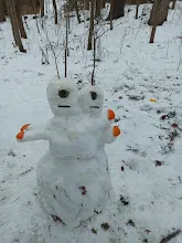 Výprava Leden 2022