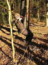 Švýcarák 11.- 13.11.2010