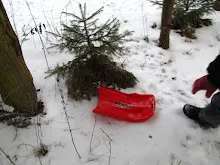 Kleť 27.12.2010